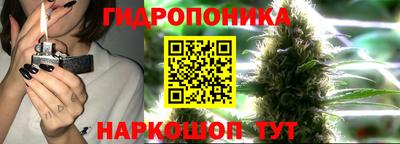 a pvp Ирбит