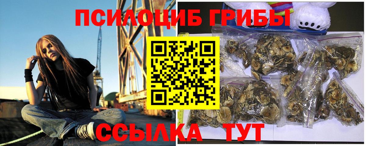 Копейск  Галлюциногенные грибы ЛСД  Вход с VPN 