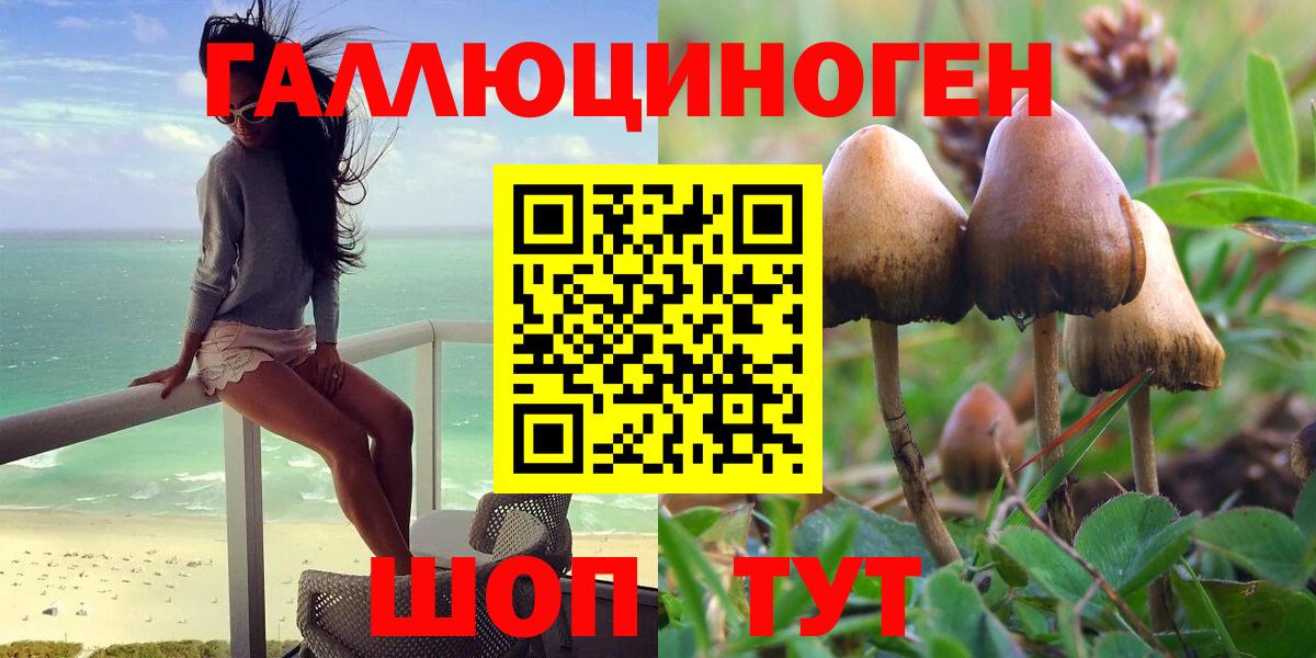 Псилоцибиновые грибы мухоморы Копейск
